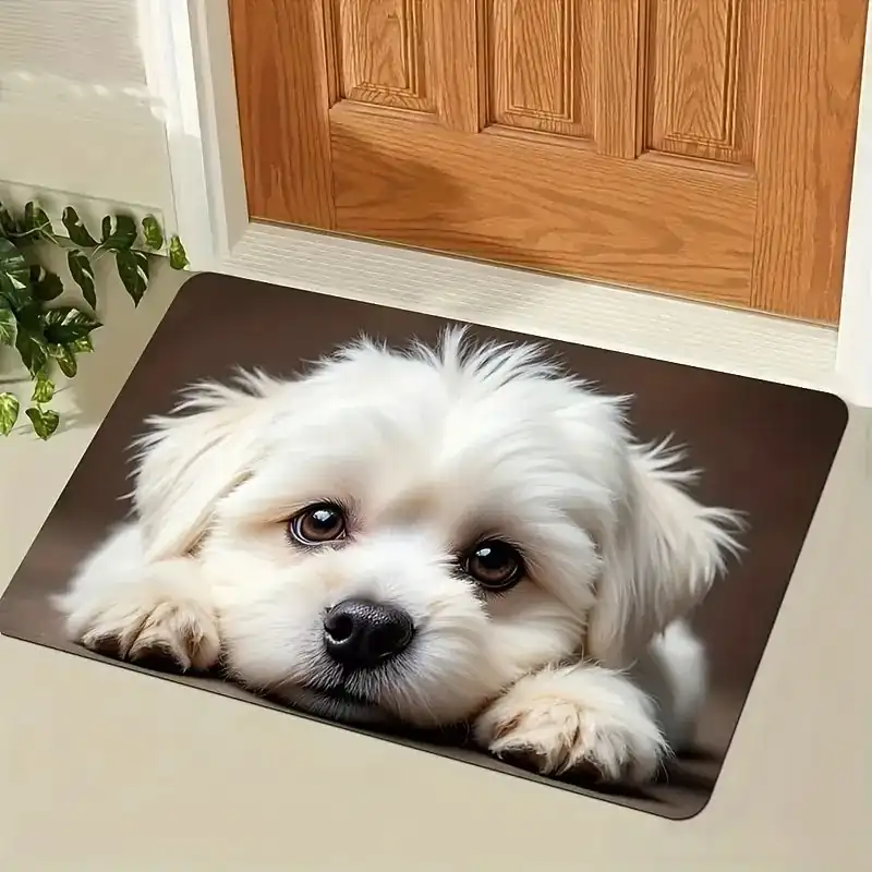 9846603_5.webp 9846603 5